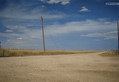 A tumbleweed blowing across a road
