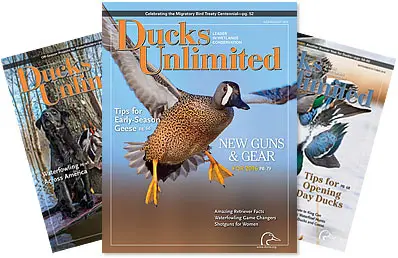 A hunting magazine about ducks