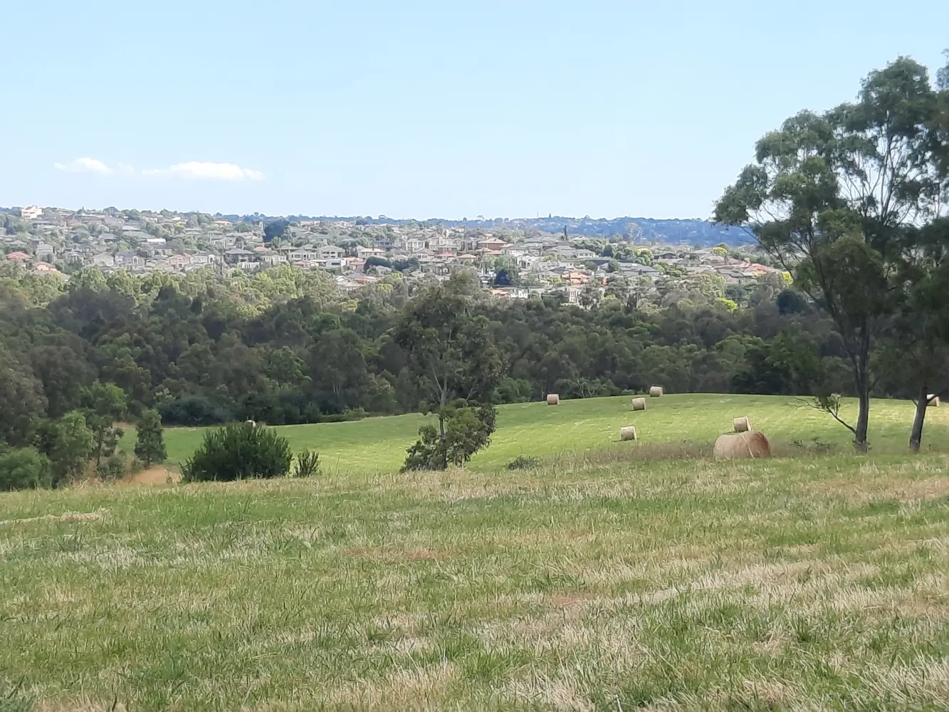 Some houses on the outskirts of Melbourne