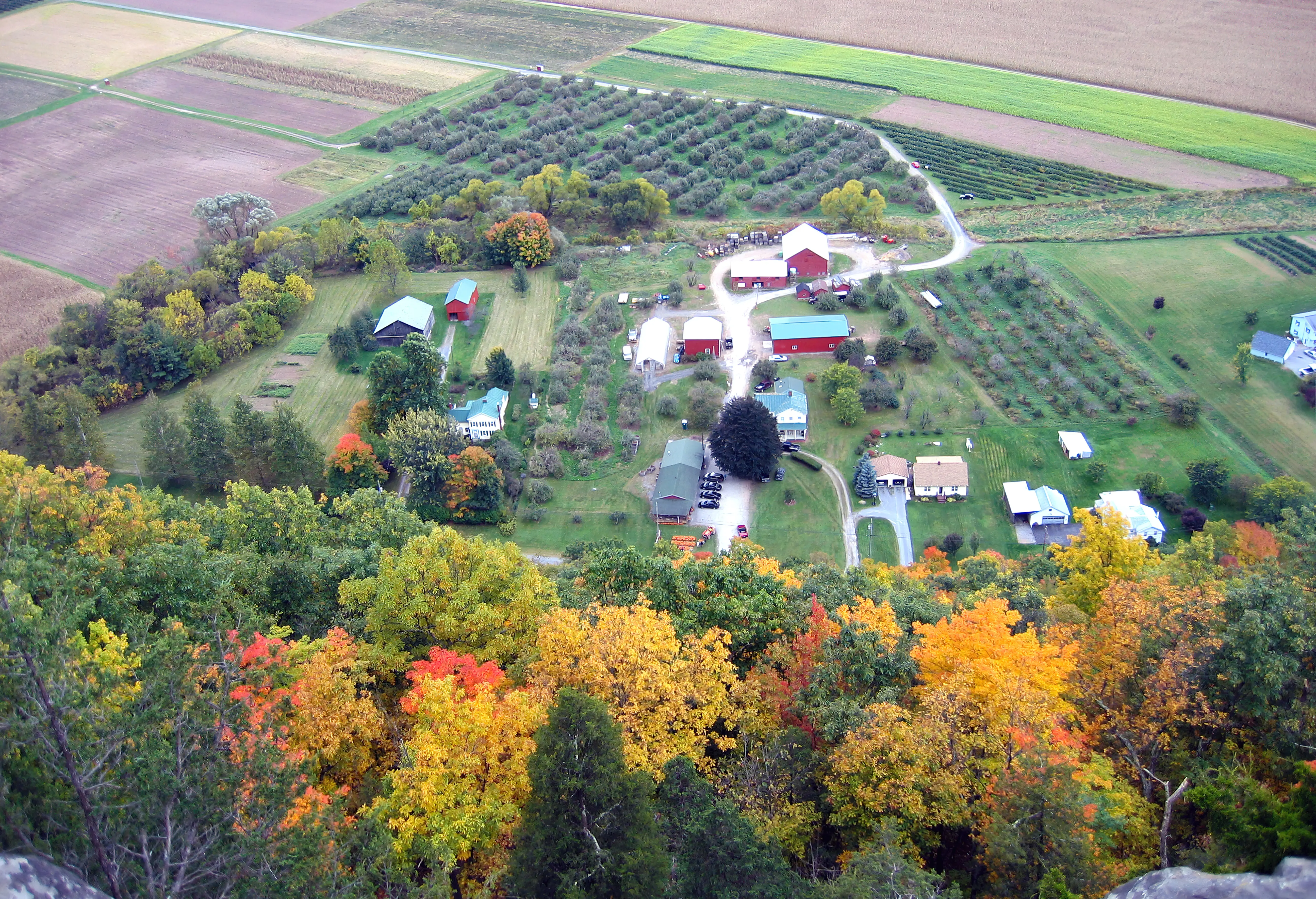 An aerial view of a farm