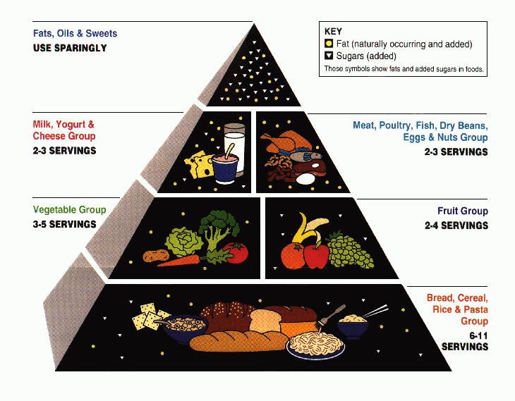 The original food pyramid